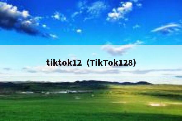 tiktok12（TikTok128） 第1张