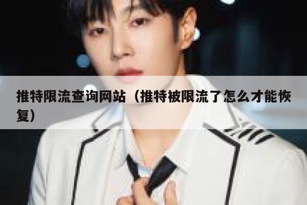 推特限流查询网站（推特被限流了怎么才能恢复） 第1张