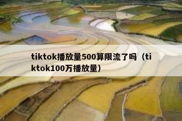 tiktok播放量500算限流了吗（tiktok100万播放量） 第1张