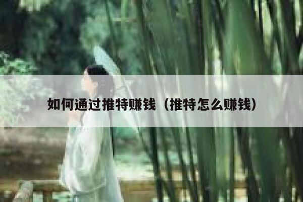 如何通过推特赚钱（推特怎么赚钱） 第1张