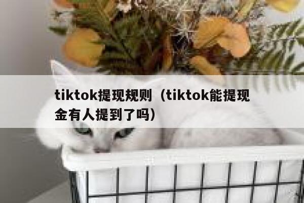 tiktok提现规则（tiktok能提现金有人提到了吗） 第1张