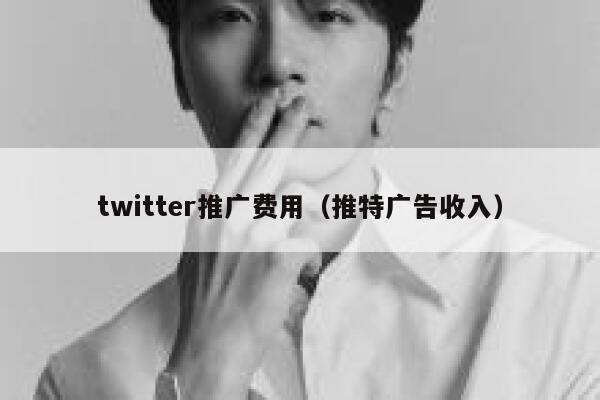 twitter推广费用（推特广告收入） 第1张