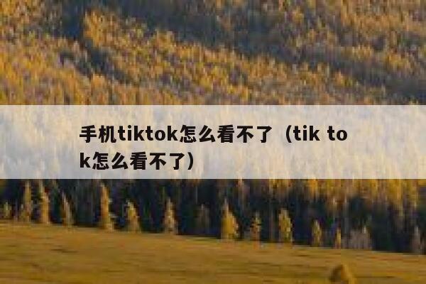 手机tiktok怎么看不了(tik tok怎么看不了) 第1张 手机tiktok怎么看不了(tik tok怎么看不了) 第1张