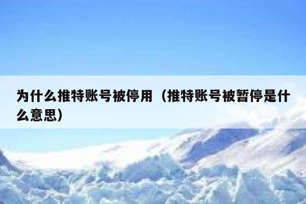 为什么推特账号被停用（推特账号被暂停是什么意思） 第1张