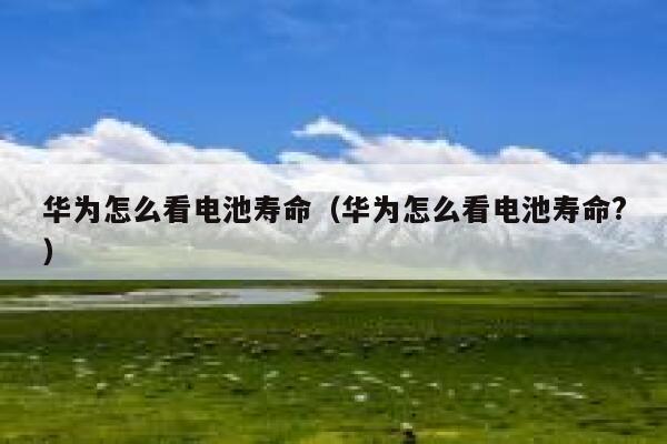 华为怎么看电池寿命（华为怎么看电池寿命?） 第1张