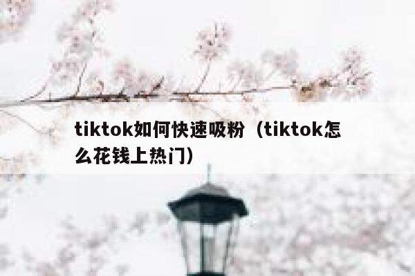 tiktok如何快速吸粉（tiktok怎么花钱上热门） 第1张