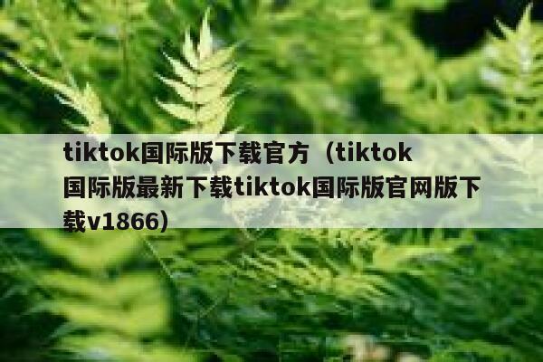 tiktok国际版下载官方（tiktok国际版最新下载tiktok国际版官网版下载v1866） 第1张