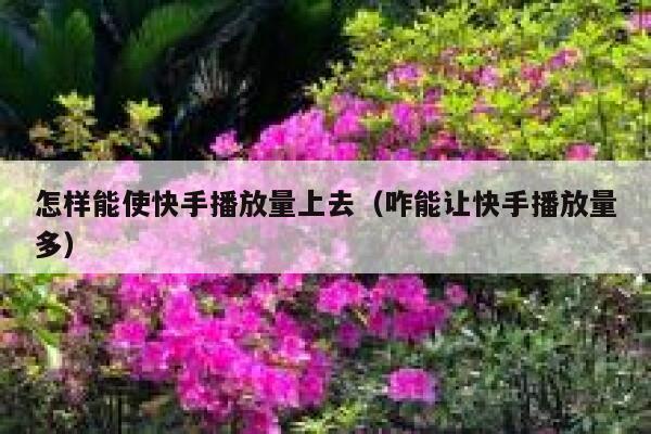 怎样能使快手播放量上去（咋能让快手播放量多） 第1张