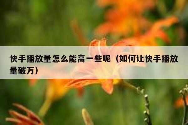 快手播放量怎么能高一些呢（如何让快手播放量破万） 第1张