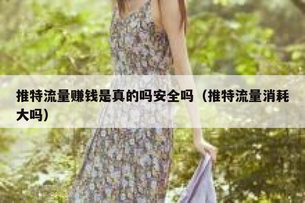 推特流量赚钱是真的吗安全吗（推特流量消耗大吗） 第1张