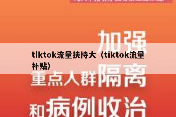 tiktok流量扶持大（tiktok流量补贴） 第1张