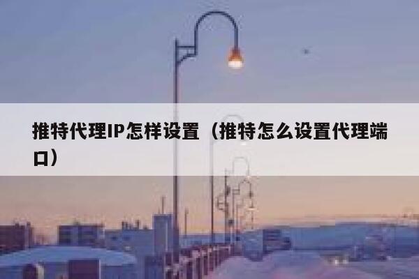 推特代理IP怎样设置（推特怎么设置代理端口） 第1张