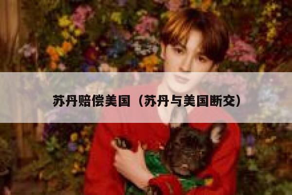 苏丹赔偿美国（苏丹与美国断交） 第1张