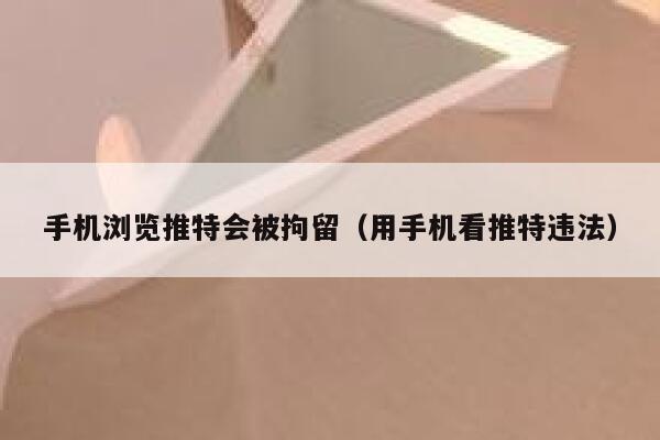 手机浏览推特会被拘留（用手机看推特违法） 第1张