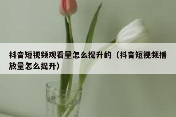 抖音短视频观看量怎么提升的（抖音短视频播放量怎么提升） 第1张