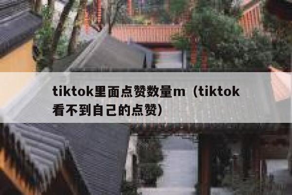 tiktok里面点赞数量m（tiktok看不到自己的点赞） 第1张
