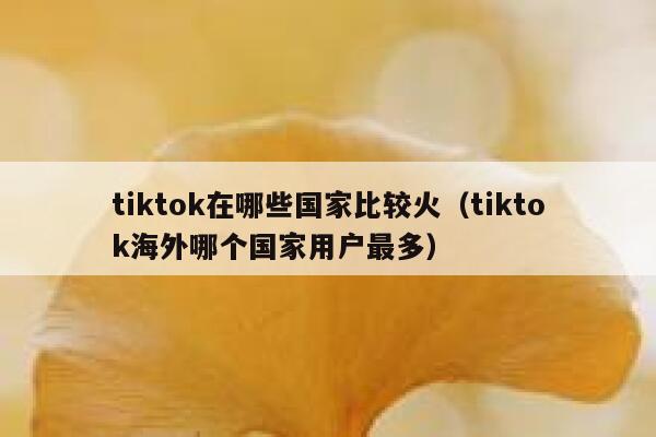 tiktok在哪些国家比较火（tiktok海外哪个国家用户最多） 第1张