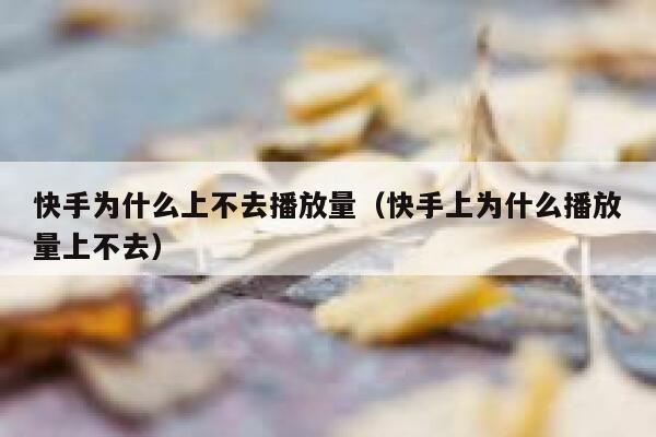 快手为什么上不去播放量(快手上为什么播放量上不去) 第1张 快手为什么上不去播放量(快手上为什么播放量上不去) 第1张