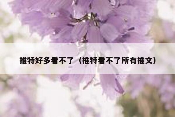 推特好多看不了（推特看不了所有推文） 第1张