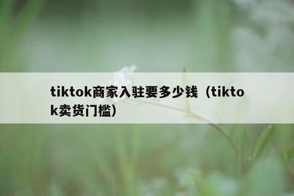 tiktok商家入驻要多少钱（tiktok卖货门槛） 第1张
