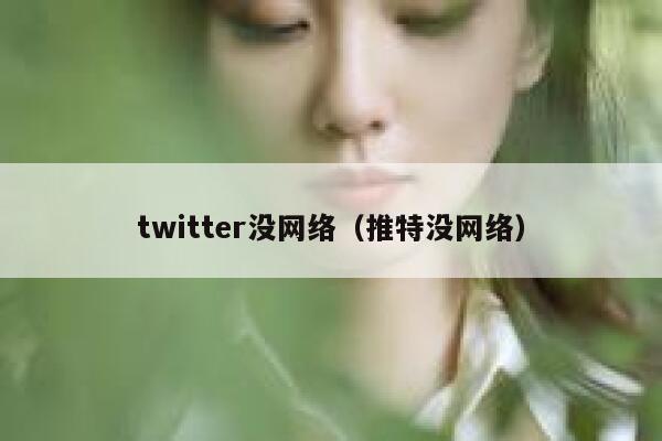 twitter没网络（推特没网络） 第1张