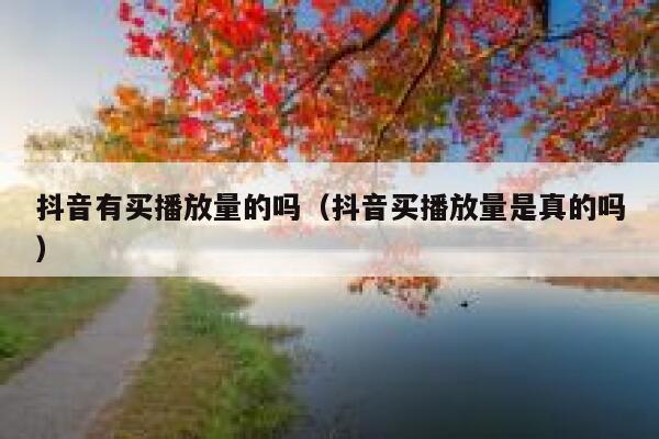 抖音有买播放量的吗（抖音买播放量是真的吗） 第1张