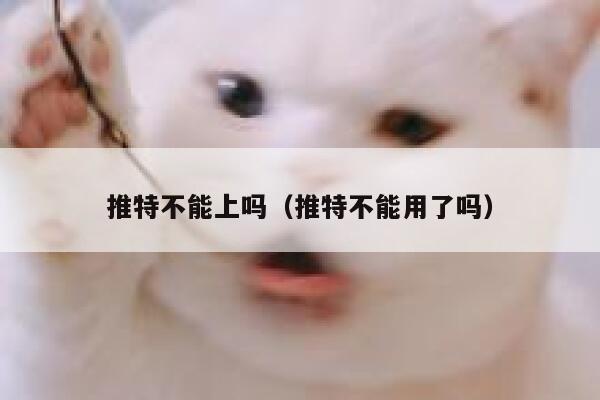 推特不能上吗（推特不能用了吗） 第1张