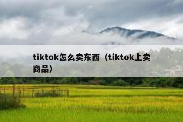 tiktok怎么卖东西（tiktok上卖商品） 第1张