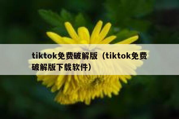 tiktok免费破解版(tiktok免费破解版下载软件) 第1张 tiktok免费破解版(tiktok免费破解版下载软件) 第1张