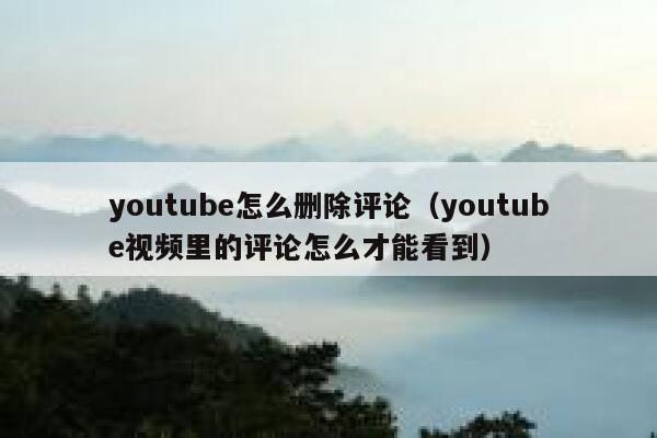 youtube怎么删除评论（youtube视频里的评论怎么才能看到） 第1张
