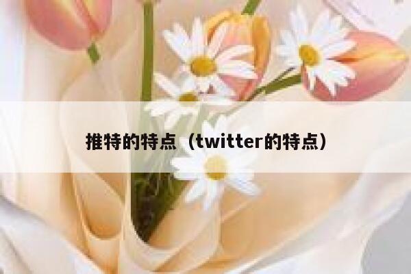 推特的特点（twitter的特点） 第1张