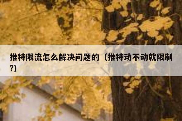 推特限流怎么解决问题的（推特动不动就限制?） 第1张