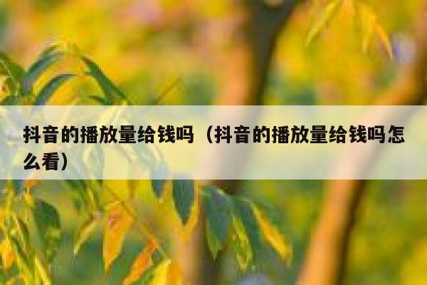 抖音的播放量给钱吗（抖音的播放量给钱吗怎么看） 第1张