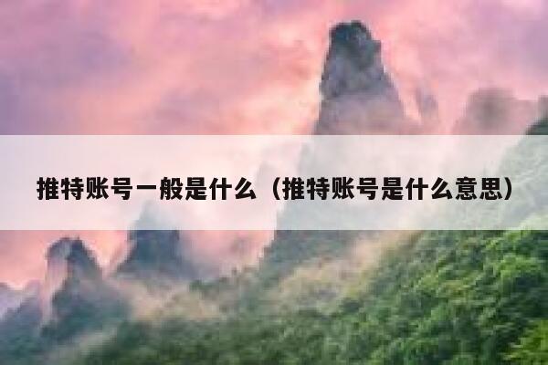 推特账号一般是什么（推特账号是什么意思） 第1张
