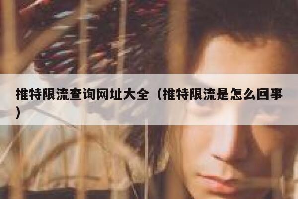 推特限流查询网址大全（推特限流是怎么回事） 第1张