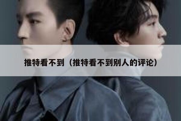 推特看不到（推特看不到别人的评论） 第1张