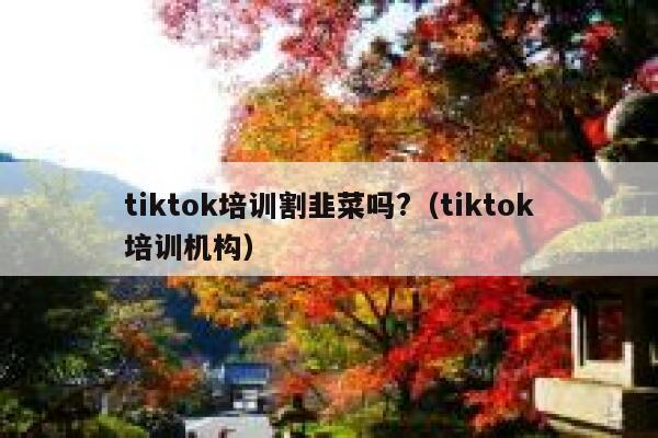 tiktok培训割韭菜吗?（tiktok培训机构） 第1张