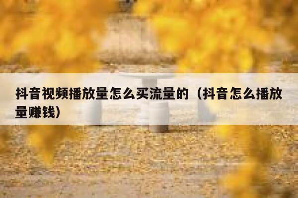 抖音视频播放量怎么买流量的(抖音怎么播放量赚钱) 第1张 抖音视频播放量怎么买流量的(抖音怎么播放量赚钱) 第1张