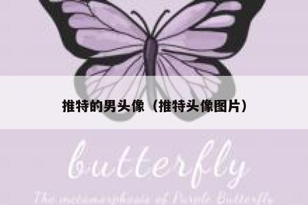 推特的男头像（推特头像图片） 第1张