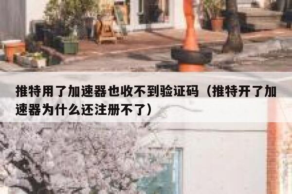 推特用了加速器也收不到验证码（推特开了加速器为什么还注册不了） 第1张