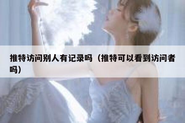 推特访问别人有记录吗（推特可以看到访问者吗） 第1张