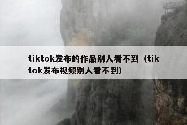 tiktok发布的作品别人看不到（tiktok发布视频别人看不到） 第1张