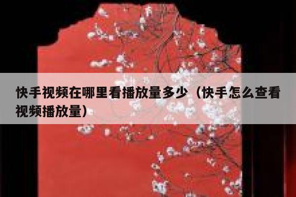 快手视频在哪里看播放量多少(快手怎么查看视频播放量) 第1张 快手视频在哪里看播放量多少(快手怎么查看视频播放量) 第1张