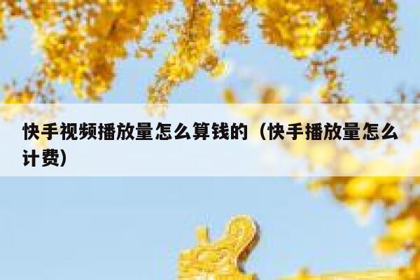 快手视频播放量怎么算钱的（快手播放量怎么计费） 第1张