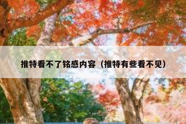 推特看不了铭感内容（推特有些看不见） 第1张