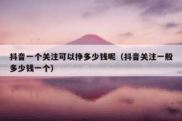 抖音一个关注可以挣多少钱呢（抖音关注一般多少钱一个） 第1张