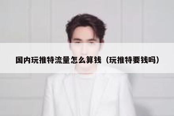 国内玩推特流量怎么算钱（玩推特要钱吗） 第1张