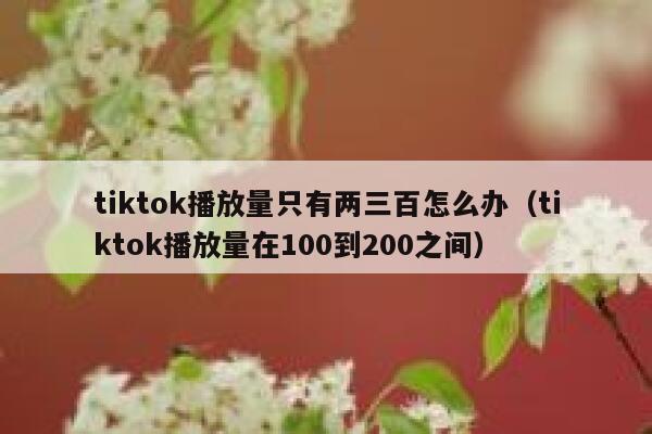 tiktok播放量只有两三百怎么办（tiktok播放量在100到200之间） 第1张