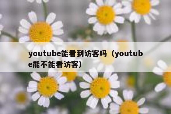 youtube能看到访客吗（youtube能不能看访客） 第1张