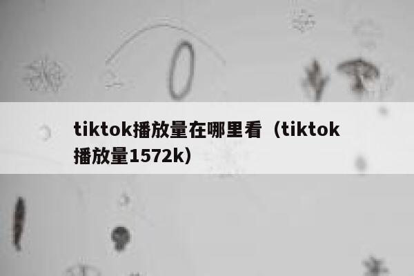 tiktok播放量在哪里看(tiktok播放量1572k) 第1张 tiktok播放量在哪里看(tiktok播放量1572k) 第1张